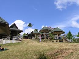 Flower Farm Tagaytay