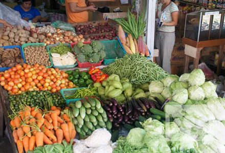 Tarlac Organic vegetables