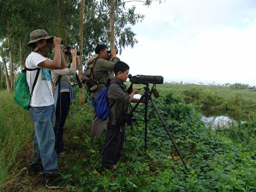 Candaba Swamp & Bird Sanctuary