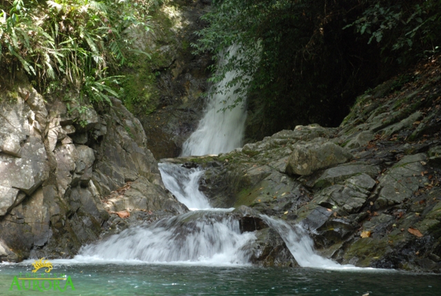 Dimasalang Falls