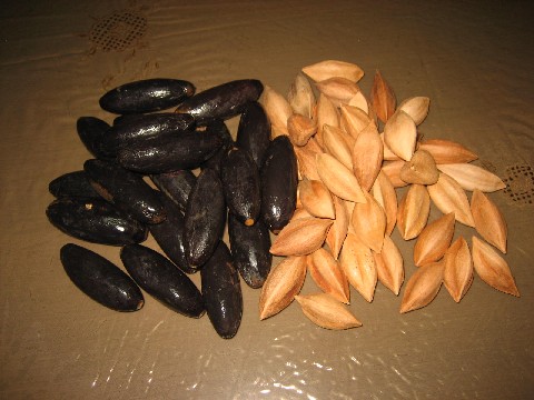 Pili Fruit and Nut