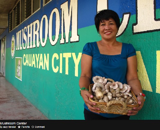 Isabela Mushrooms