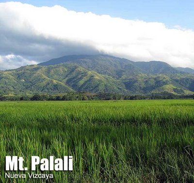Mt. Palali