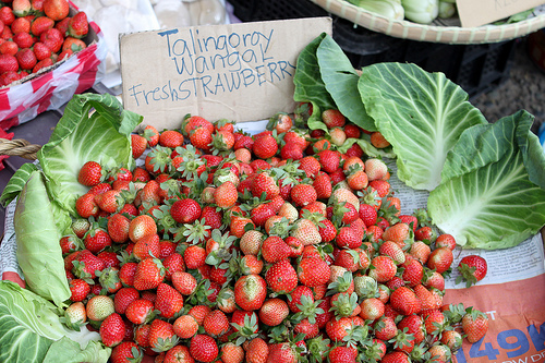 Fresh strawberries at La Trinidad, Benguet