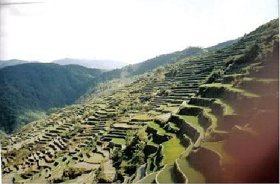 Focong Rice Terraces