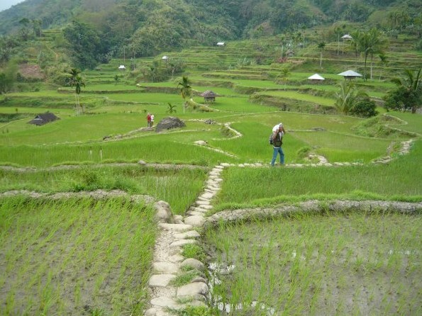 Lubo and Mangali Rice Terraces