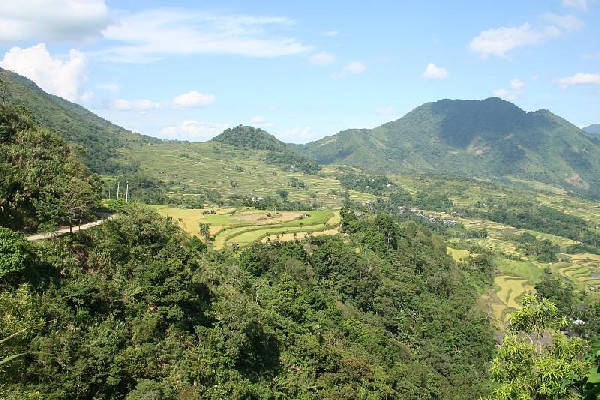 Natonin Rice Terraces