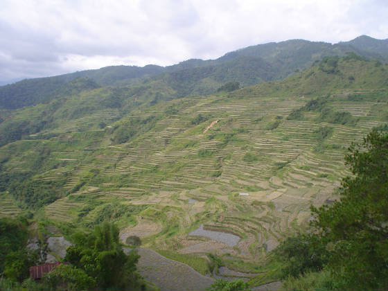 Sadanga Rice Terraces
