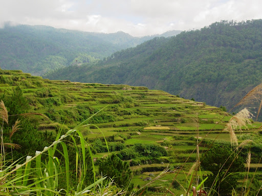 Tanulong Rice Terraces