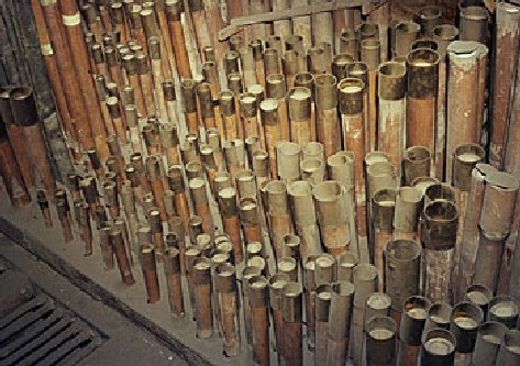 Bamboo Organ Festival