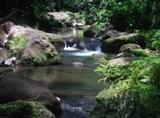 Calijon Falls Batangas