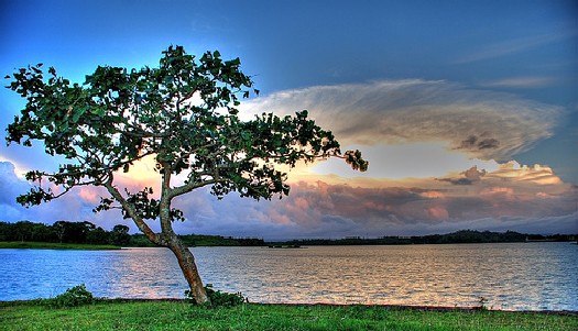 Laguna Caliraya Lake