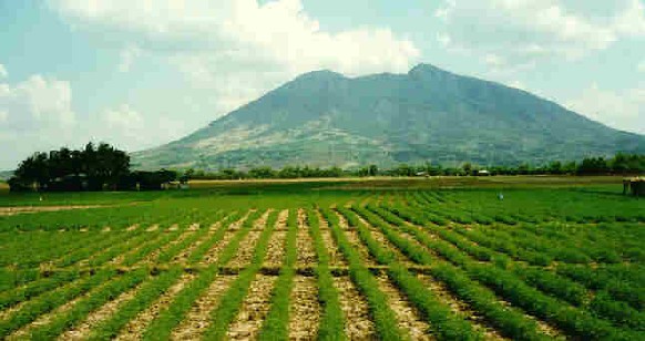 Pampanga farms