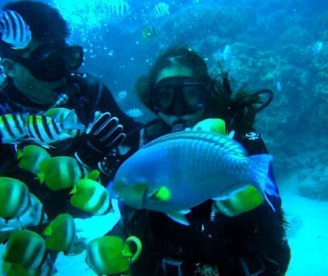 Scuba Diving Batangas