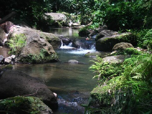 Batangas Calijon Falls