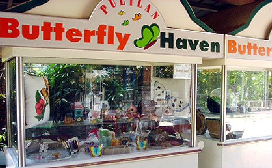 Bulacan Butterfly Haven