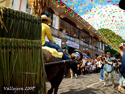 Bulacan Carabao Festival