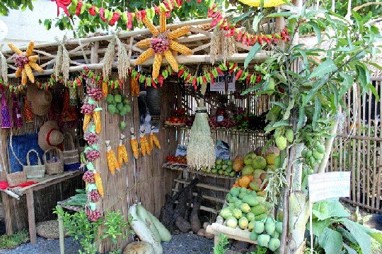 Zambales Mango Festival