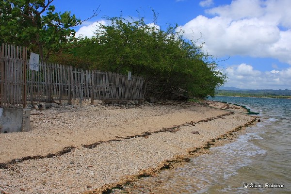 quezon Patayan Island