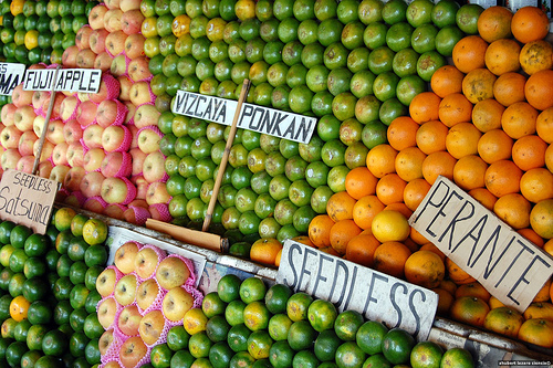 Nueva Vizcaya Citrus Festival