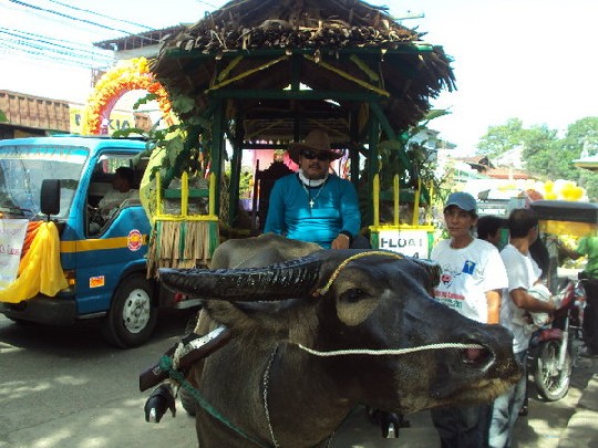 Nueva Ecija Gatas ng Kalabaw Festival