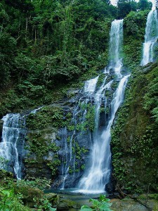 Mindoro Oriental Tamaraw Falls