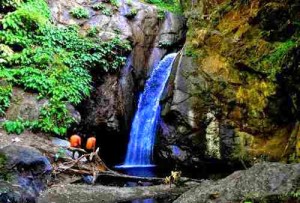 Antique Macalbag Waterfalls 1