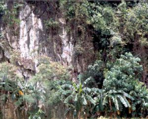 Capiz Pilar Cave