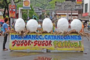 catanduanes-sugok-sugok-festival2